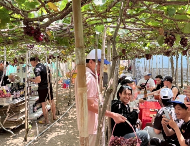 TOUR TP.HCM - BÌNH HƯNG 2 NGÀY 1 ĐÊM