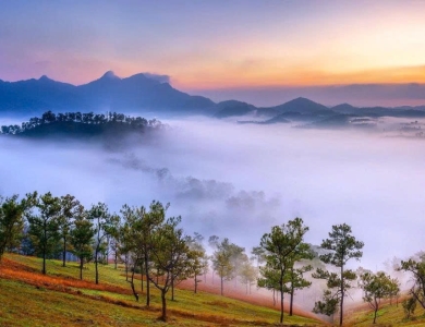 TOUR TP.HCM - ĐÀ LẠT 3 NGÀY 3 ĐÊM SIÊU TIẾT KIỆM 2026