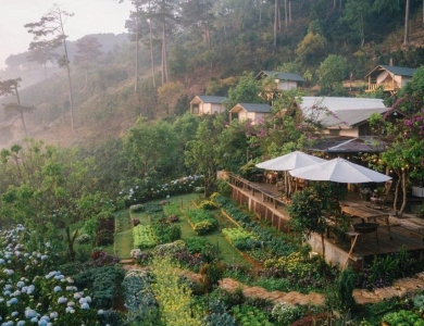 TOUR BÌNH HƯNG - ĐÀ LẠT HOT NHẤT 2026 | 4 NGÀY 4 ĐÊM 
