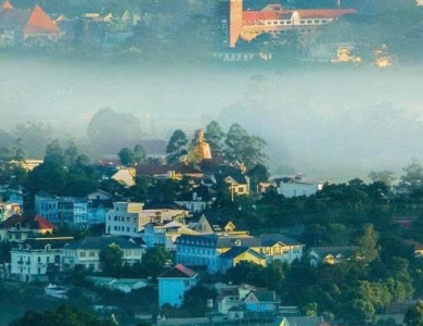 TOUR BÌNH HƯNG - ĐÀ LẠT HOT NHẤT 2026 | 4 NGÀY 4 ĐÊM 