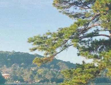 TOUR BÌNH BA - NHA TRANG - ĐÀ LẠT 4 NGÀY 4 ĐÊM SIÊU HOT 