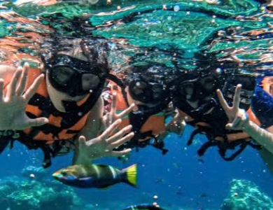 TOUR BÌNH BA - NINH CHỮ 3 NGÀY 3 ĐÊM 2026