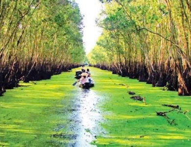 TOUR NAM DU - CHÂU ĐỐC 3 NGÀY 3 ĐÊM