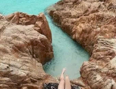 TOUR BÌNH HƯNG - ĐÀ LẠT HOT NHẤT 2026 | 4 NGÀY 4 ĐÊM 
