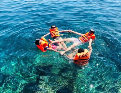 TOUR BÌNH HƯNG - ĐÀ LẠT HOT NHẤT 2026 | 4 NGÀY 4 ĐÊM 