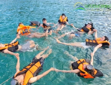 TOUR BÌNH HƯNG - ĐÀ LẠT HOT NHẤT 2026 | 4 NGÀY 4 ĐÊM 