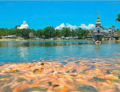 TOUR NAM DU - CHÂU ĐỐC 3 NGÀY 3 ĐÊM
