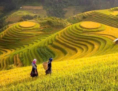 TOUR SAPA 3 NGÀY 2 ĐÊM CHẠM MÂY ĐÓN GIÓ