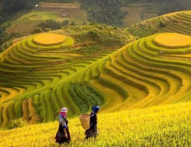 TOUR SAPA 3 NGÀY 2 ĐÊM HOT NHẤT NĂM 2026