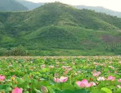 HÀNH TRÌNH TRÊN ĐẤT PHÙ SA - ĐỒNG THÁP 2 NGÀY 1 ĐÊM