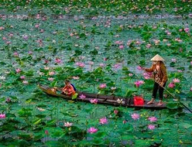 HÀNH TRÌNH TRÊN ĐẤT PHÙ SA - ĐỒNG THÁP 2 NGÀY 1 ĐÊM