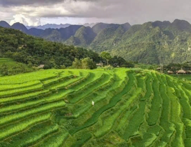 TOUR DU LỊCH PÙ LUÔNG 2 NGÀY 1 ĐÊM