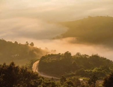 TOUR DU LỊCH BẢO LỘC 3 NGÀY 2 ĐÊM
