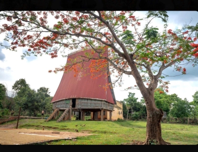 Buôn Ma Thuột – Buôn Đôn - Pleiku – Kon Tum - Măng Đen 5 ngày 4 đêm