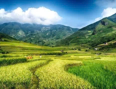 Tây Bắc Mùa Lúa Chín - Nghĩa Lộ - Mù Cang Chải - Sapa - Fansipan - Lai Châu - Điện Biên - Mộc Châu