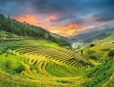 Tây Bắc Mùa Lúa Chín - Nghĩa Lộ - Mù Cang Chải - Sapa - Fansipan - Lai Châu - Điện Biên - Mộc Châu