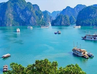 Hải Phòng - Hạ Long - Ninh Bình - Thung Nham - Tam Đảo