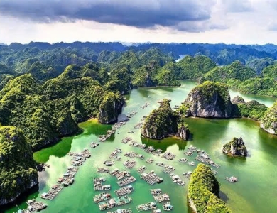 Hải Phòng - Hạ Long - Ninh Bình - Thung Nham - Tam Đảo