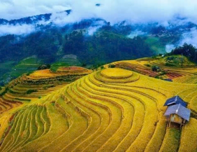 TOUR DU LỊCH Pù Luông - Hòa Bình - Mù Cang Chải - La Pán Tẩn - Tà Xùa