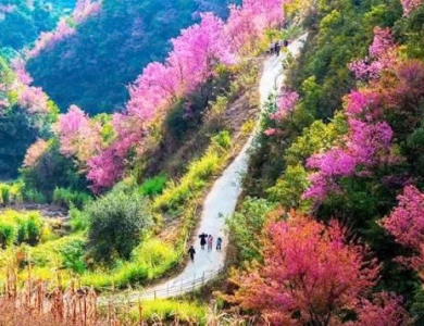 TOUR DU LỊCH Pù Luông - Hòa Bình - Mù Cang Chải - La Pán Tẩn - Tà Xùa