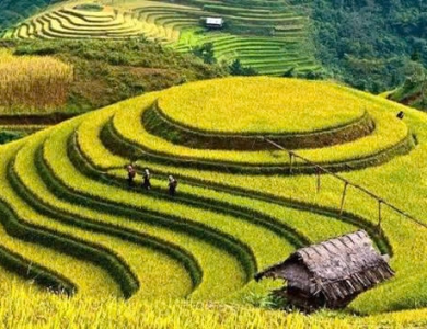 TOUR DU LỊCH Pù Luông - Hòa Bình - Mù Cang Chải - La Pán Tẩn - Tà Xùa