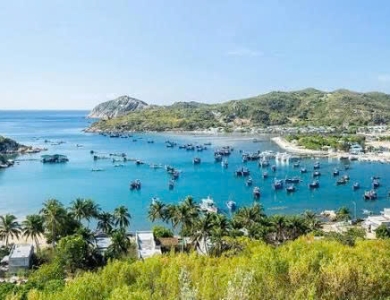 Tour Ninh Chữ – Vịnh Vĩnh Hy 3 ngày 2 đêm