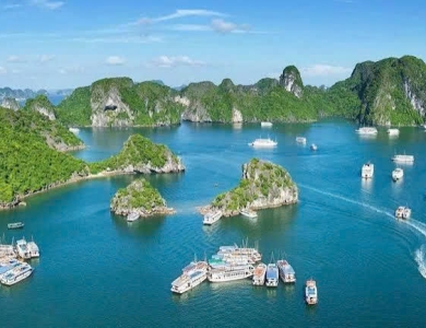 Tour Miền Bắc 1 Ngày Hà Nội - Đảo Cát Bà - Vịnh Lan Hạ - Động Trung Hang