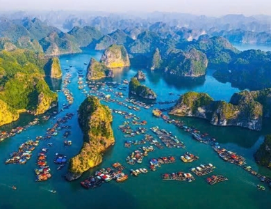 Tour Miền Bắc 1 Ngày Hà Nội - Đảo Cát Bà - Vịnh Lan Hạ - Động Trung Hang