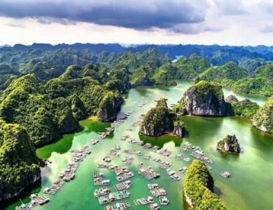 Tour Miền Bắc 1 Ngày Hà Nội - Đảo Cát Bà - Vịnh Lan Hạ - Động Trung Hang