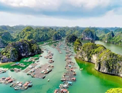Tour Miền Bắc 1 Ngày Hà Nội - Đảo Cát Bà - Vịnh Lan Hạ - Động Trung Hang