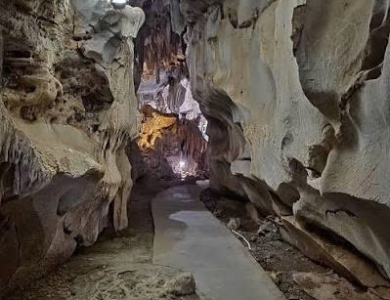 Tour Miền Bắc 1 Ngày Hà Nội - Đảo Cát Bà - Vịnh Lan Hạ - Động Trung Hang