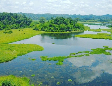 TOUR VƯỜN QUỐC GIA CÁT TIÊN 2N1Đ