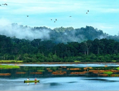 TOUR VƯỜN QUỐC GIA CÁT TIÊN 2N1Đ