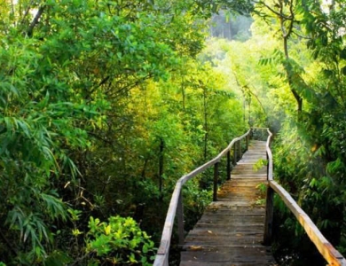 TOUR VƯỜN QUỐC GIA CÁT TIÊN 2N1Đ