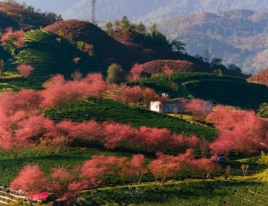 TOUR SAPA 3 NGÀY 2 ĐÊM CHẠM MÂY ĐÓN GIÓ