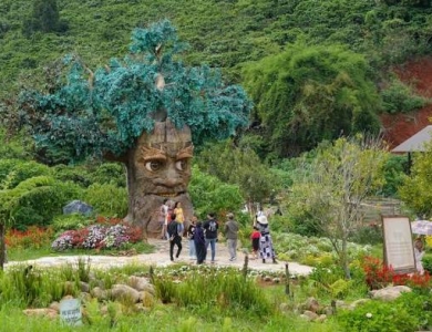 TOUR ĐOÀN ĐÀ LẠT 3 NGÀY 2 ĐÊM