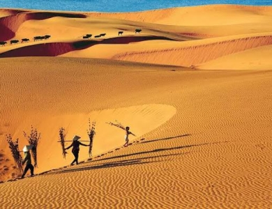 TOUR ĐOÀN PHAN THIẾT 2 NGÀY 1 ĐÊM
