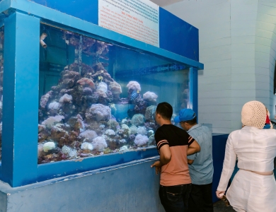 TOUR ĐOÀN BÌNH HƯNG - NHA TRANG 4N3Đ