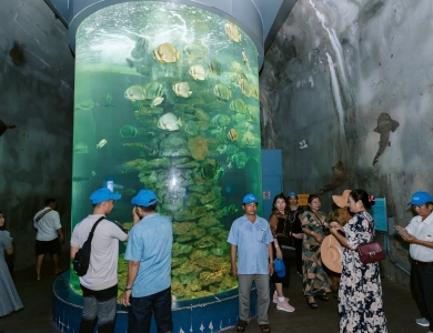 TOUR ĐOÀN BÌNH HƯNG - NHA TRANG 4N3Đ