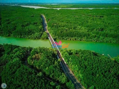 HÀNH TRÌNH RỪNG NGẬP MẶN XANH CẦN GIỜ 2 NGÀY 1 ĐÊM