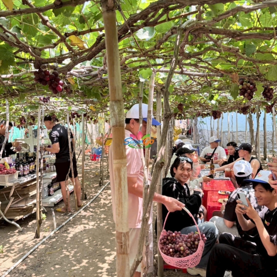 TOUR TP.HCM - BÌNH HƯNG 2 NGÀY 1 ĐÊM