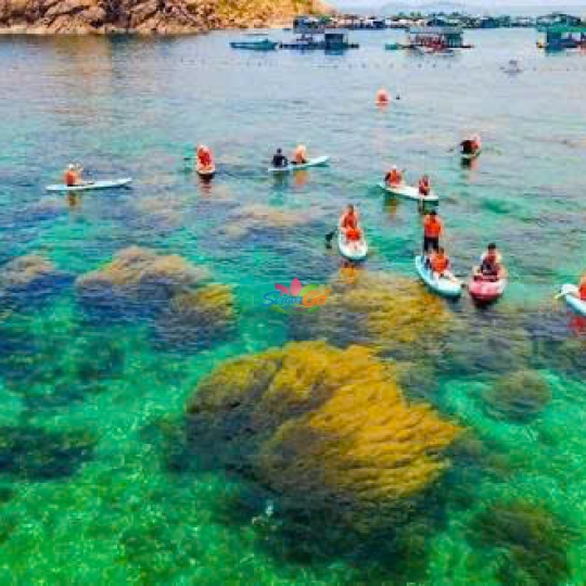 TOUR NHA TRANG - BIỂN XANH VẪY GỌI 3 NGÀY 2 ĐÊM