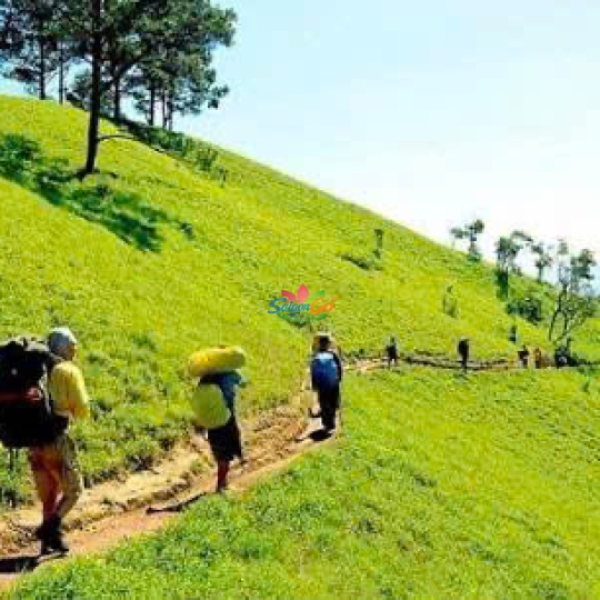 DU LỊCH TÀ NĂNG PHAN DŨNG 2 NGÀY 2 ĐÊM