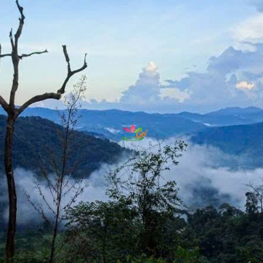 TOUR MĂNG ĐEN - KON TUM - GIA LAI 3 NGÀY 3 ĐÊM