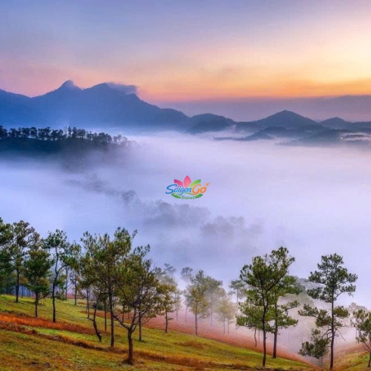 TOUR BÌNH HƯNG - ĐÀ LẠT HOT NHẤT 2026 | 4 NGÀY 4 ĐÊM 