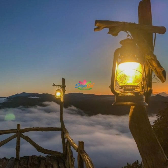 TOUR TP.HCM - ĐÀ LẠT 3 NGÀY 3 ĐÊM SIÊU TIẾT KIỆM 2026