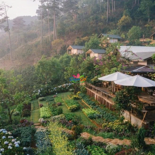 TOUR BÌNH HƯNG - ĐÀ LẠT HOT NHẤT 2026 | 4 NGÀY 4 ĐÊM 