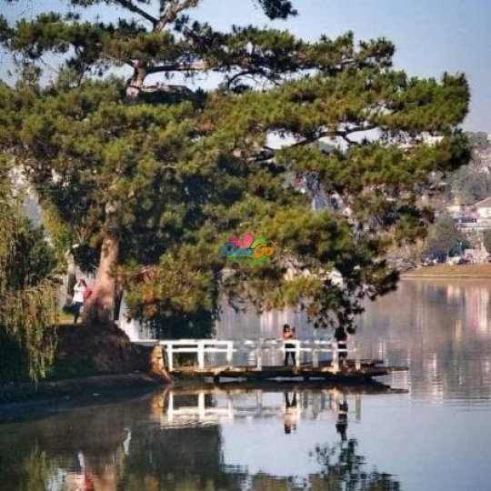 TOUR BÌNH HƯNG - ĐÀ LẠT HOT NHẤT 2026 | 4 NGÀY 4 ĐÊM 