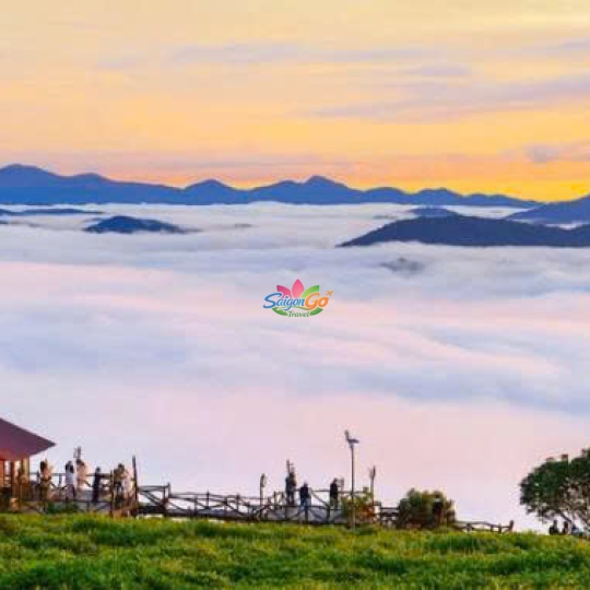 TOUR TP.HCM - ĐÀ LẠT 3 NGÀY 2 ĐÊM TRỌN GÓI 2026