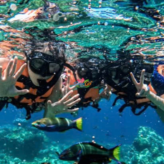 TOUR BÌNH BA - NINH CHỮ 3 NGÀY 3 ĐÊM 2026
